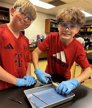 7th grade science dissection 2025 9.jpg